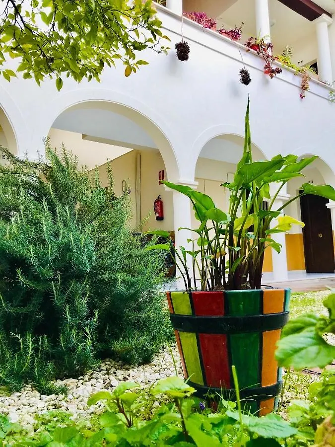 Duplex Con Encanto En Centro Historico De Cordoba. La Corredera. Apartment 0*, Cordoba
