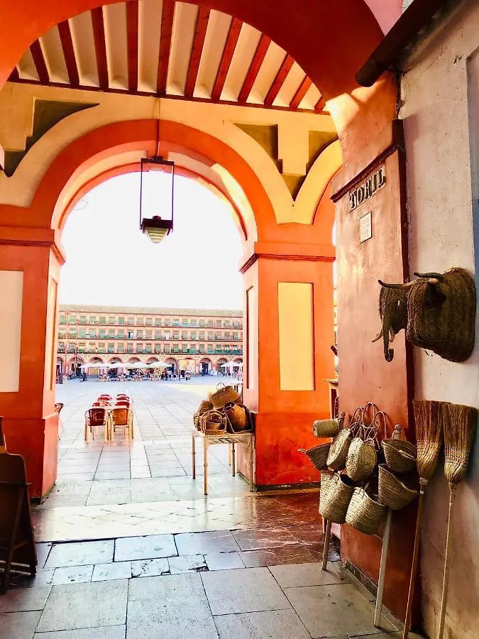 Duplex Con Encanto En Centro Historico De Cordoba. La Corredera. Apartment