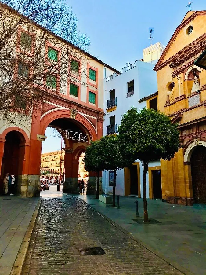Duplex Con Encanto En Centro Historico De Cordoba. La Corredera. Apartment