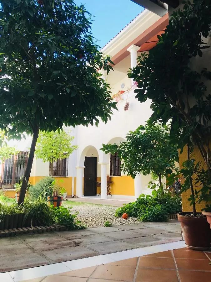Duplex Con Encanto En Centro Historico De Cordoba. La Corredera. Apartment  Cordoba