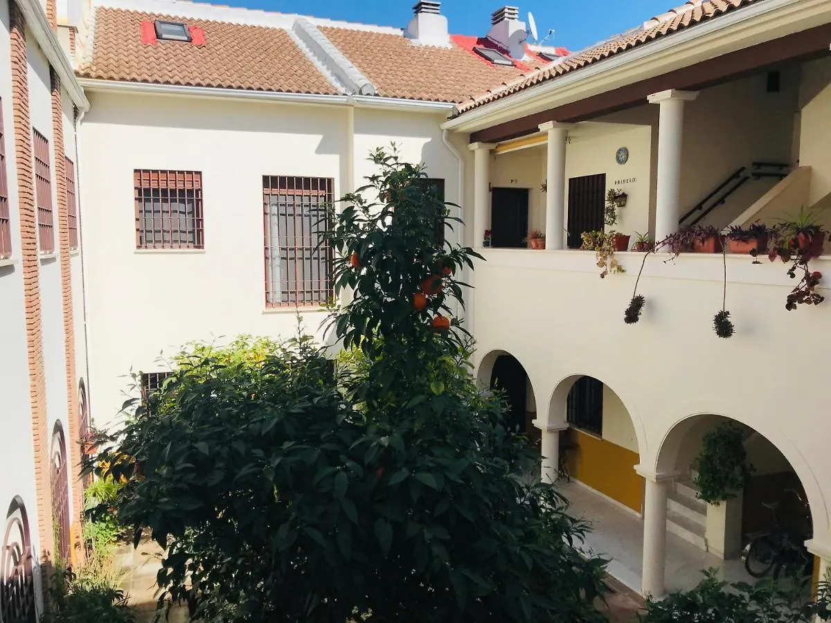 Duplex Con Encanto En Centro Historico De Cordoba. La Corredera. Appartamento 0*, Cordova Spagna